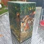 5 x Jungle Lore by Jim Corbett, hardbacks, as new, D18 post 7e Image 3