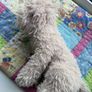 jellycat Image 3