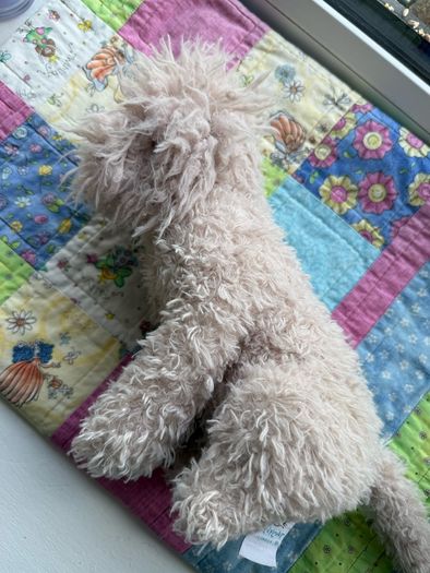 jellycat