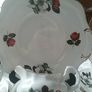 Twenty one Piece China Teaset Regina Image 3