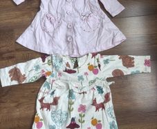 Baby Girl Long Sleeve Dresses