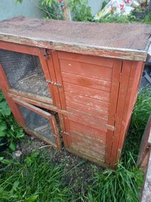 rabbit hutch