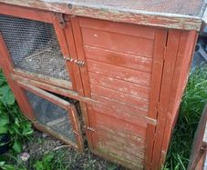 rabbit hutch