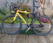 Carrera TDF Road Bike