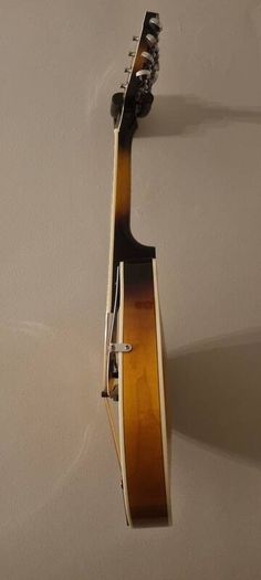 mandolin