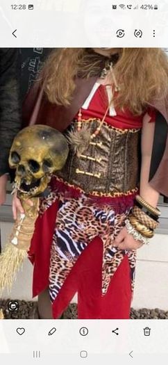 Halloween/fancy dress costume