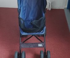 Pet buggy stroller