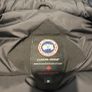 canada goose Image 2