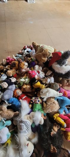 Soft Toys Open to Offers