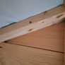 Shed Image 7