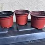 6 plastic flower pots Image 4