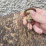 door lock Image 8