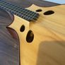 Irish Bouzouki Image 5