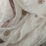 Xtra Large Chiffon Scarf/Wrap Image 9