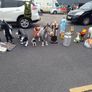 life Size Animals & Religious Statues. Image 5