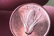 Tonga 1 Seniti 1981, World Food Day - Vanilla plant - Ear of corn