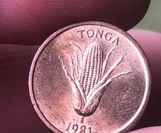 Tonga 1 Seniti 1981, World Food Day - Vanilla plant - Ear of corn