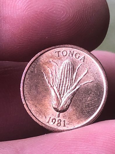 Tonga 1 Seniti 1981, World Food Day - Vanilla plant - Ear of corn