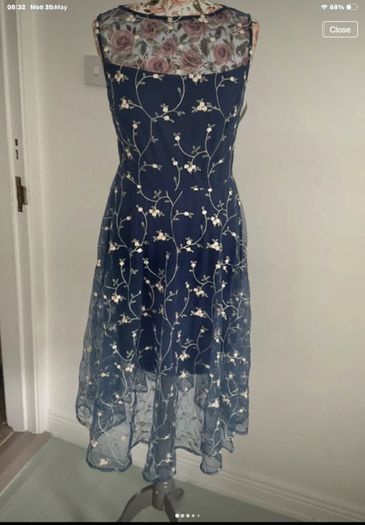 dress Bnwt Paisie occasion wear dress size 10