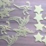 Glow in the dark stars and dinosaurs Image 3