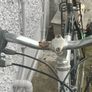 Road bike Image 2