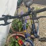 Adult Mountain Bike Image 5
