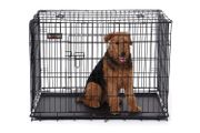 XXL with 2 doors Dog Cage 2 Doors Dog Box Transport Box Foldable TransportCage Wire Cage Cats Rabbits Rodent Rabbit Poultry Cage Black XXL 106 x 77.5 x 70 cm