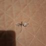 sterling silver dragonfly pendant Image 3