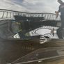 Audi Q4 SPORTBACK etron car door Image 2