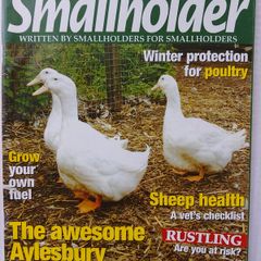 Smallholder