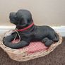 ornament   labrador Black dog Image 2