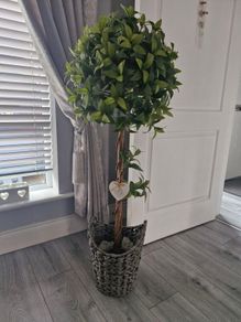 Artificial Bay Tree