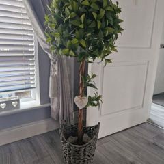 Artificial Bay Tree