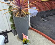 free plant in pots to take away