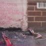 Amy Winehouse - Frank CD Image 2