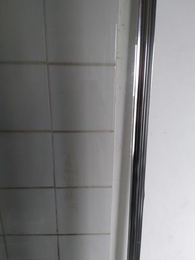 Chrome Shower Panel/Screen