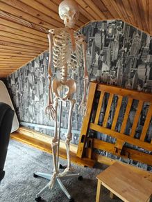 medical skeleton full size suit medical student/ sports therapist