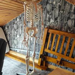 medical skeleton full size suit medical student/ sports therapist