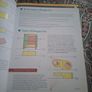 Graphics in Design and Communication Image 3