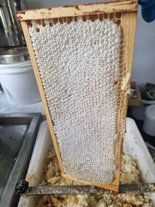 Honey comb