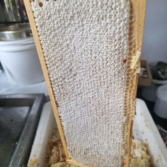 Honey comb