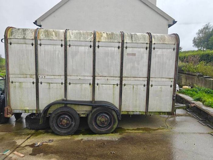 ivor willaims cattle trailer