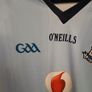 Dublin GAA 2010/2011 Home Jersey Image 4
