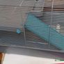Hamster Cage Image 2