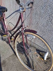 raleigh bike