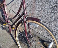 raleigh bike