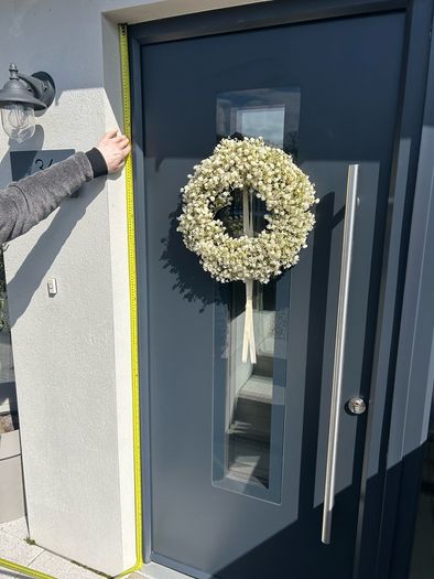 front door frame &  glass panel