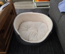 dog bed