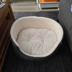dog bed