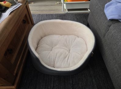 dog bed
